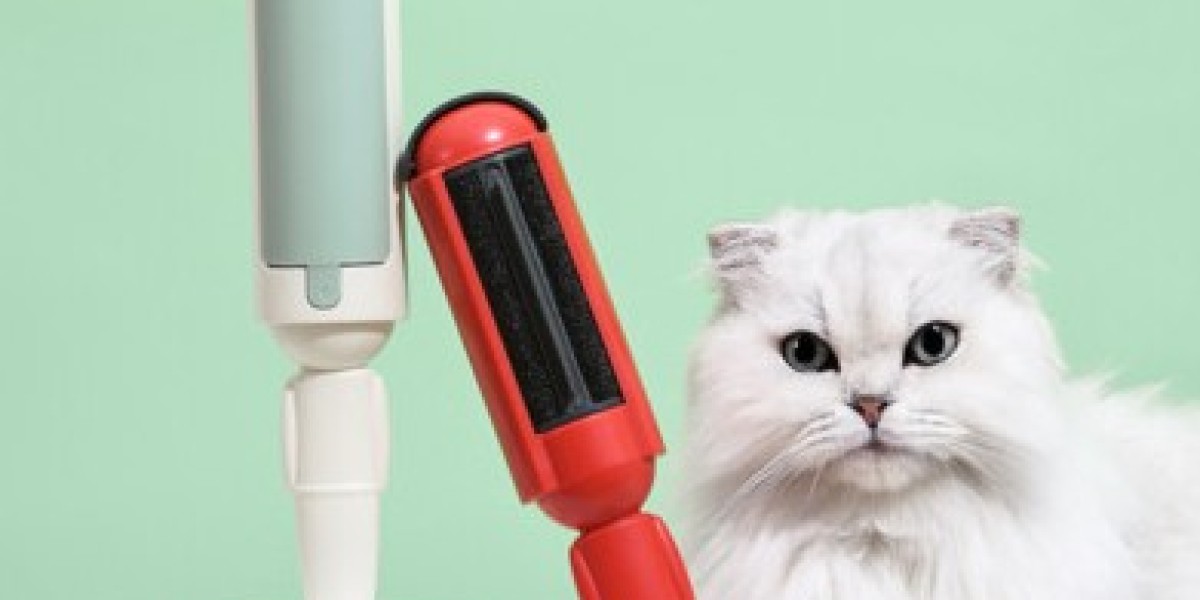 Pet Hair Scraper Benefits for Furniture and Car Seat Cleaning